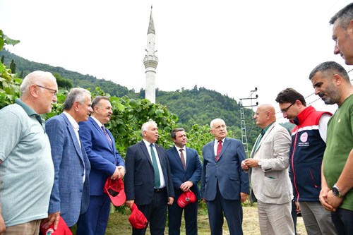 Vali Aziz Yıldırım Yomra’daki Örnek Fındık Bahçesini İnceledi